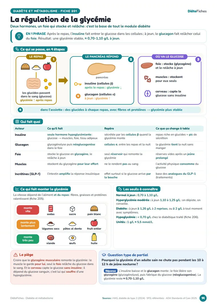 Fiche du module Diabète et métabolisme